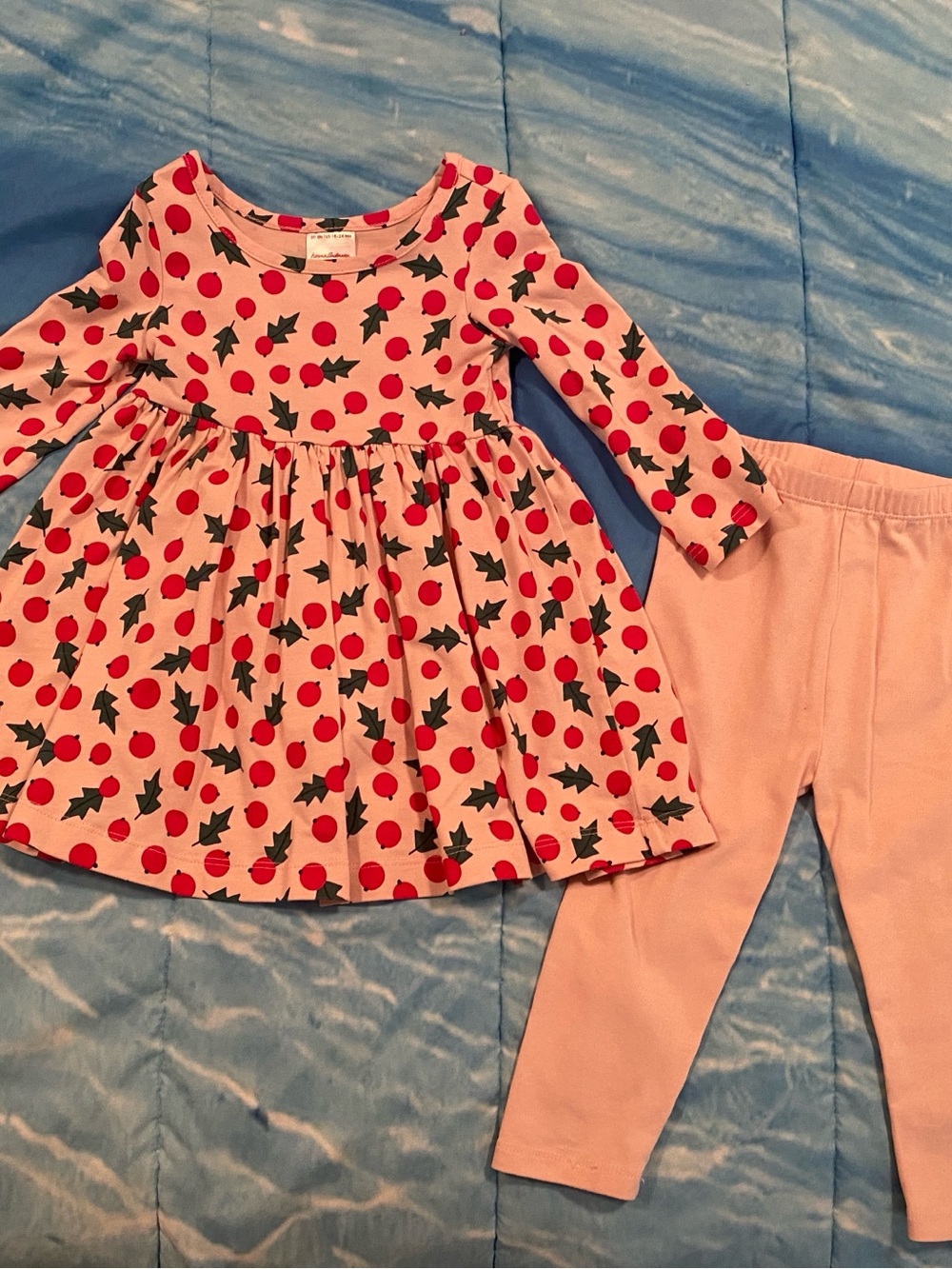 Hanna Andersson Pink Dress & Pink Leggings Set with Red Dots and Green Leaves